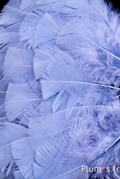Dinde - 6-8 cm - gris clair